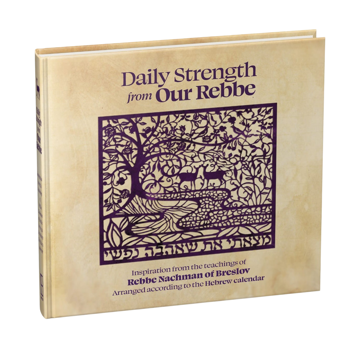 Daily Strength from Our Rebbe