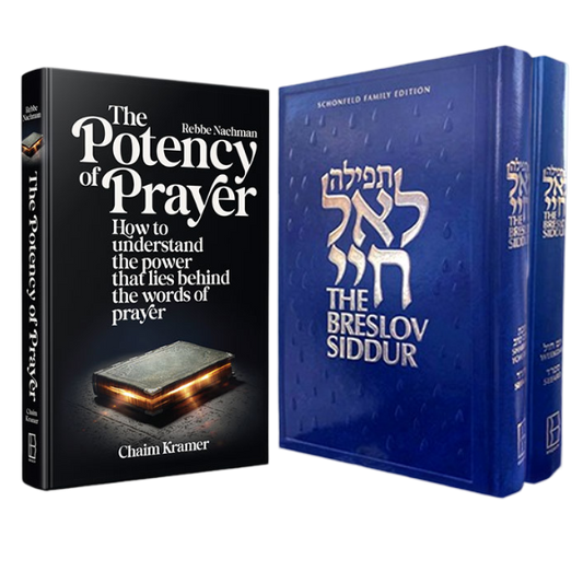 The Breslov Prayer Primer
